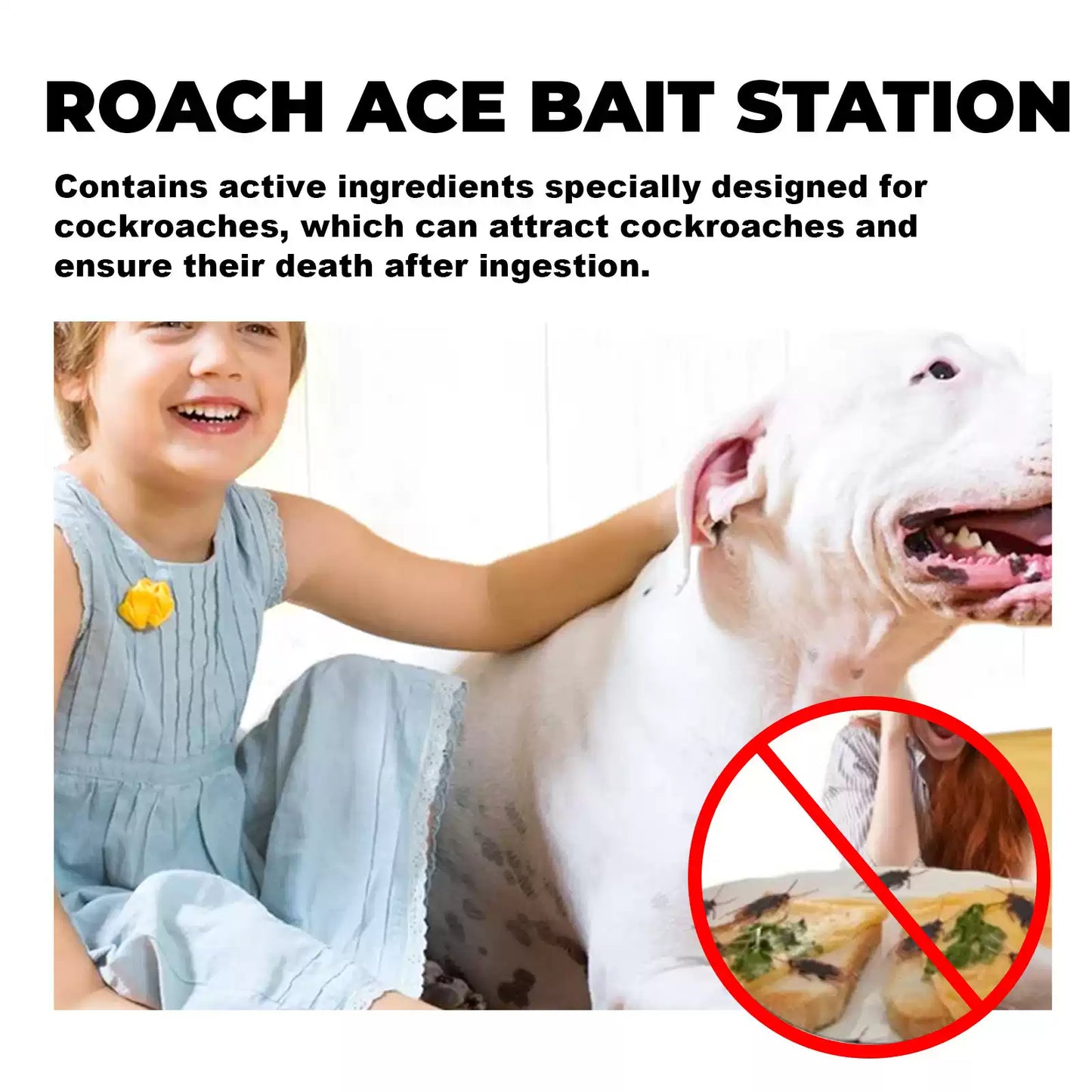 QuikCatch Roach Ace Bait Station (Buy Now - Limited Stock🔥🔥)