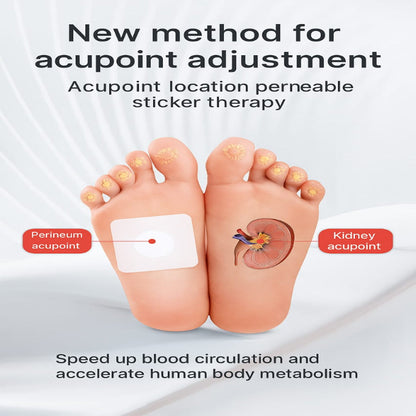 Huatangxiao Acupoint Pressure Stimulation Patch