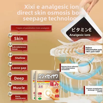 Japan Gout Medicine Patch pack of 12 pcs ( BUY 1 GET 1 FREE )